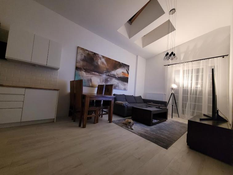 W Starym Mlynie Loft Rozanka Apartmán